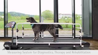 CanidGait®  Stance and Gait Analysis for Dogs with treadmill  Stand und Ganganalyse für Hunde [upl. by Ayihsa]