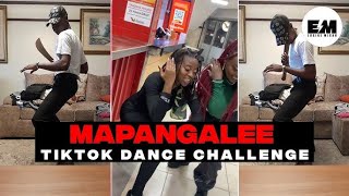 MAPANGALE Tiktok Dance Challenge ft Mc Zendiambo [upl. by Aneloaup]