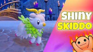 SHINY HUNTING SKIDDO  POKEMON SCARLET [upl. by Phene]