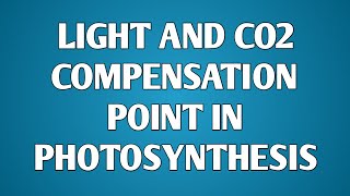 light compensation point graph co2 compensation point c3 Vs c4 photosynthesis CSIR NET [upl. by Venable514]