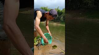 Survival skills  how to catch fish camping survival bushcraft outdoors [upl. by Stan]