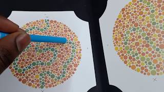 Colour Blindness Test for ALP Guard Station Master etc in Railway [upl. by Grekin]