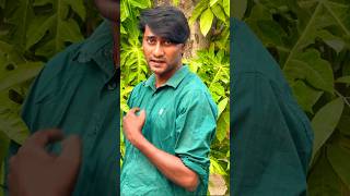 Diljale movie dialogue youtubeshorts ajaydevgn [upl. by Quarta160]