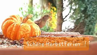 Schöne Herbstferien [upl. by Homans]