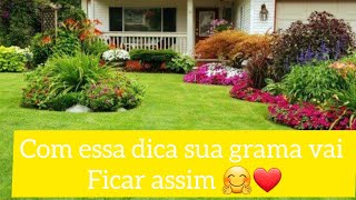 Como Aplicar calcário Na Terra Para Grama E Jardim [upl. by Venetis]