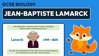 JeanBaptiste Lamarck  GCSE Biology [upl. by Anglim622]