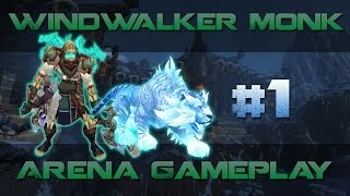 WoW Windwalker Monk 2v2 Arenas 542 1 [upl. by Billi]