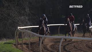 Cheltenham Festival Stable Tour Andrew Gemmell amp Paisley Park [upl. by Masuh]