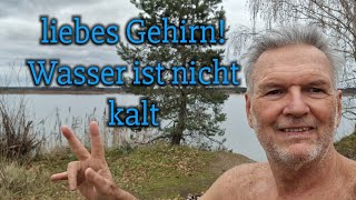 Liebes Gehirn Das Wasser ist nicht kalt [upl. by Hock]