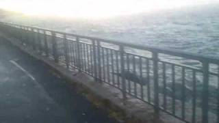 Tsunami Hits Brooklyn New York [upl. by Ylenats]