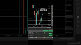 Forex Price Action trading forex usa election reels rajabanks [upl. by Gilges]