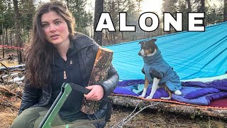 Solo Survival Camping  No tent Coyotes amp Bushcraft [upl. by Rehpotsrihc557]