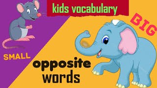 Opposite Words✨learning about oppositeskids vocabulary ✨ [upl. by Ube]