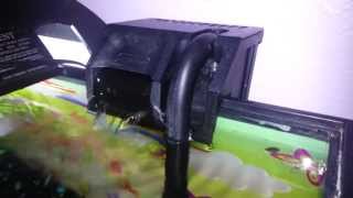 How To Make Your Aquarium Filter Quieter [upl. by Remo]