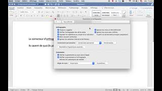 Le correcteur dorthographe sous Word [upl. by Ajax]
