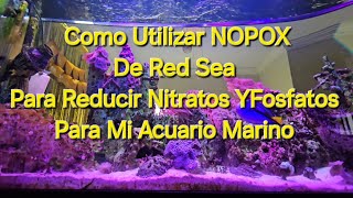 Como Utilizar NOPOX De Red Sea Para Reducir Nitratos Y Fosfatos Para Mi Acuario Marino aquarium [upl. by Anisamoht830]