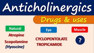 Anticholinergics  Drugs and uses [upl. by Acinelav]