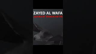 Zayed Al Wafa [upl. by Meelak]