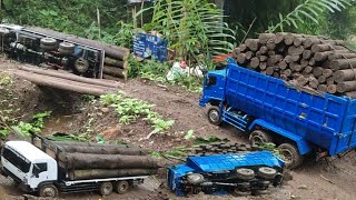 TRUK RC SAAT ANGKUT KAYU KEJADIAN TAK TERDUGA  Rc truk tronton hino dan Fuso Izuzu [upl. by Tolecnal]