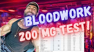 WHAT TO EXPECT ON 200 mg TESTOSTERONE per week  Bloodwork and How I feel after 4 months on 200mg [upl. by Daugherty174]