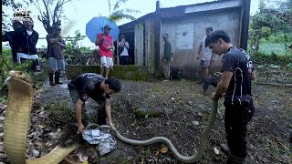 GA HITA AT GA BRASO NA MGA KING COBRA HULI KAY COBRA PRINCE PATAY SA TUKLAW 😔 [upl. by Wiebmer414]