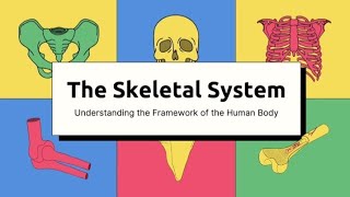 Human SkeletonThe Skeletal SystemBiology short lecture videoEducational videoScience GK [upl. by Ilse]