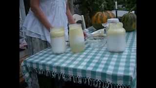 How to make thick kefir with raw milk [upl. by Nida583]