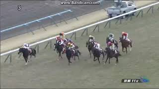 第157回 天皇賞春 出走馬 ８番クリンチャー勝利レース [upl. by Ecerahc]