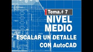 Curso básico Autocad ESCALA DE UN DETALLE [upl. by Nafis]