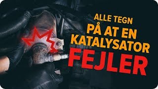 Hvordan man kontrollerer en katalysator  AUTODOC tips [upl. by Eniamurt]