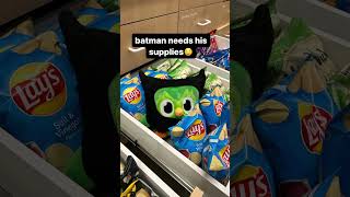 FOR GOTHAM🦇🦇funny duolingo batman languagelearning [upl. by Shanahan]