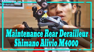 Maintenance Rear Derailleur Shimano Alivio M4000 [upl. by Eilsek]