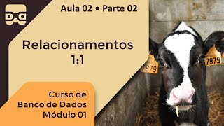 Relacionamentos 11  Aula 02 • Parte 02 [upl. by Ecirtnahc796]