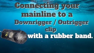 Connecting the main line to a Downrigger  Outrigger clip with a rubber band [upl. by Koeppel]