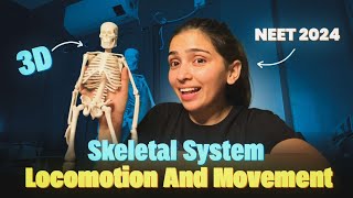 Skeletal System with 3D Model Locomotion and Movement  NEET 2024 Class 11 [upl. by Koffman]