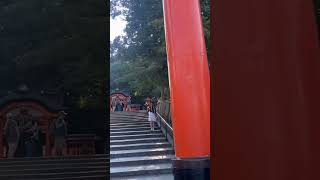 Fushimi Inari Shrine in Kyoto Japan [upl. by Bekki87]