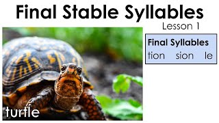 Final Stable Syllables  tion sion le  Lesson 1 [upl. by Locklin]