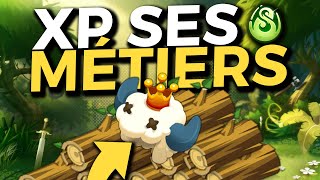 XP SES MÉTIERS SUR DOFUS Récolte Crafts Fm [upl. by Ahsaz]