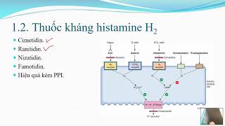 Thuốc điều trị viêm loét dạ dày tá tràng Dược lý 1414 [upl. by Ader741]