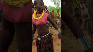 Bull jumping ceremony tribalmarriage africantribes shortvideo [upl. by Emylee162]