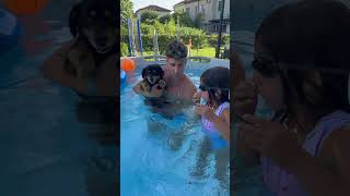 Papà Mike e Aurora fanno il primo bagno in piscina al nostro cagnolino Billy🐶 shorts mikeaurybau [upl. by Nylanej403]