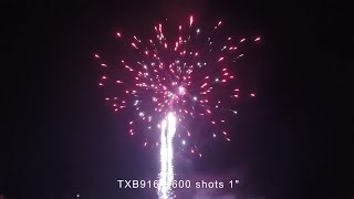 TXB916  600 shots 1quot TRIPLEX [upl. by Alrich909]