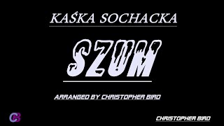 KAŚKA SOCHACKA  SZUM KARAOKEINSTRUMENTALarranged by Christopher Bird [upl. by Acinej145]