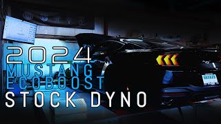 2024 S650 FORD MUSTANG ECOBOOST 23L  FIRST STOCK DYNO  PERFORMANCE PACK  EUROCOMPULSION [upl. by Aklog818]