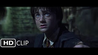 Harry Destroys Tom Riddles Diary  Harry Potter and the Chamber of Secrets [upl. by Okimuy]