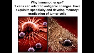 Targeting Cancer Pathways The Tumor Microenvironment [upl. by Merrile]