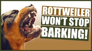 How To Stop Your ROTTWEILER Barking [upl. by Rothmuller510]