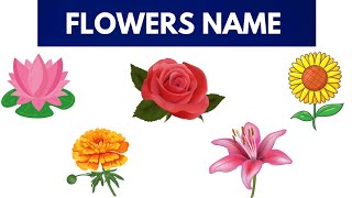 five flowers name  flowers  learning videos for kids [upl. by Klaus394]