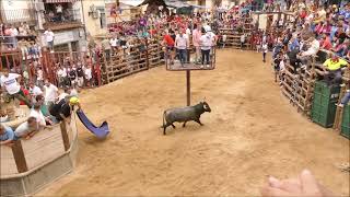 Fiestas del Cristo de la Caridad en Jarandilla de la Vera  TOROS TRADICIONALES 2023 [upl. by Myriam451]