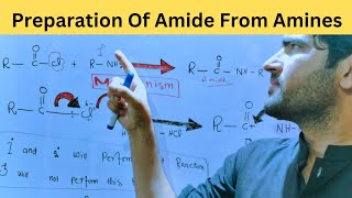 Preparation Of Amide From Aminesreaction mechanism for class 12 [upl. by Theall]